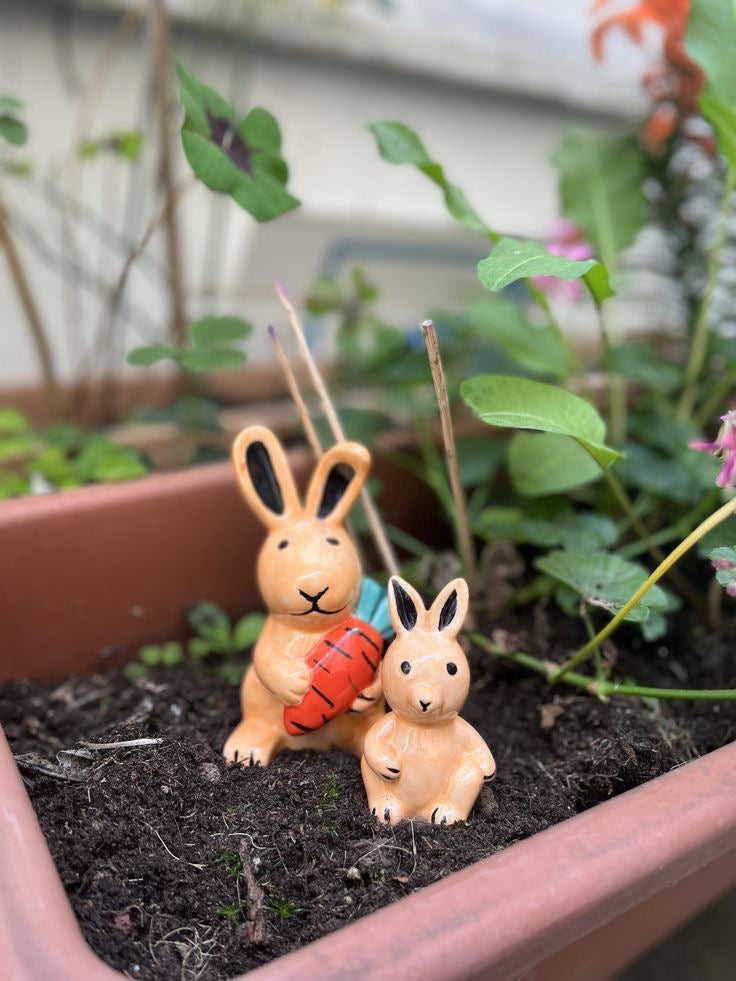 Ceramic to decorate - Rabbit figurine with its carrot