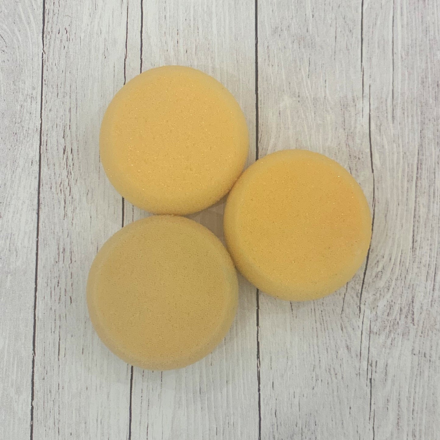 Potter's sponge