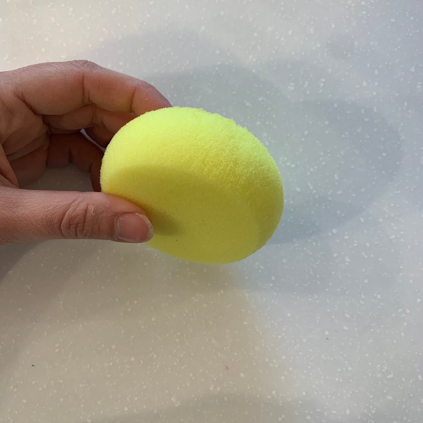 Potter's sponge