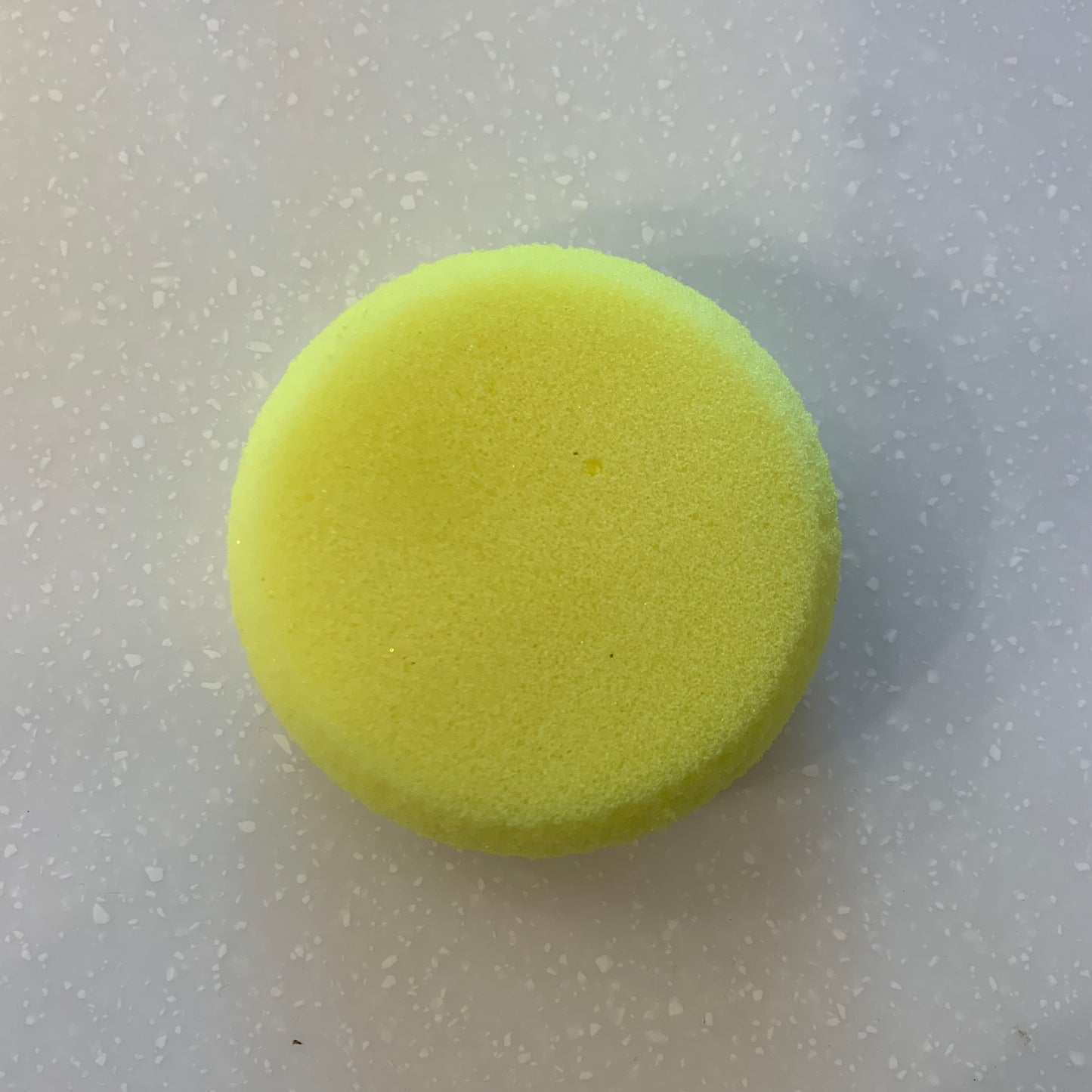 Potter's sponge